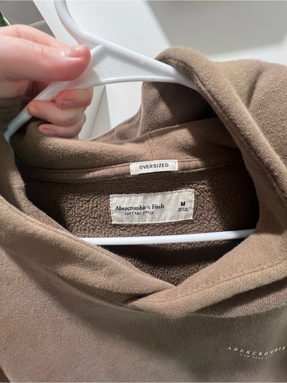 Abercrombie & Fitch Cozy Brown Pullover Hoodie